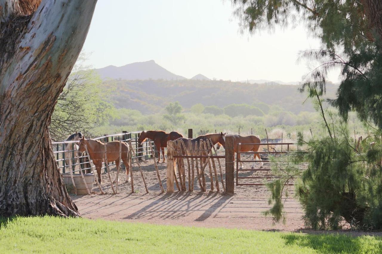 Kay El Bar Guest Ranch Hotell Wickenburg Eksteriør bilde