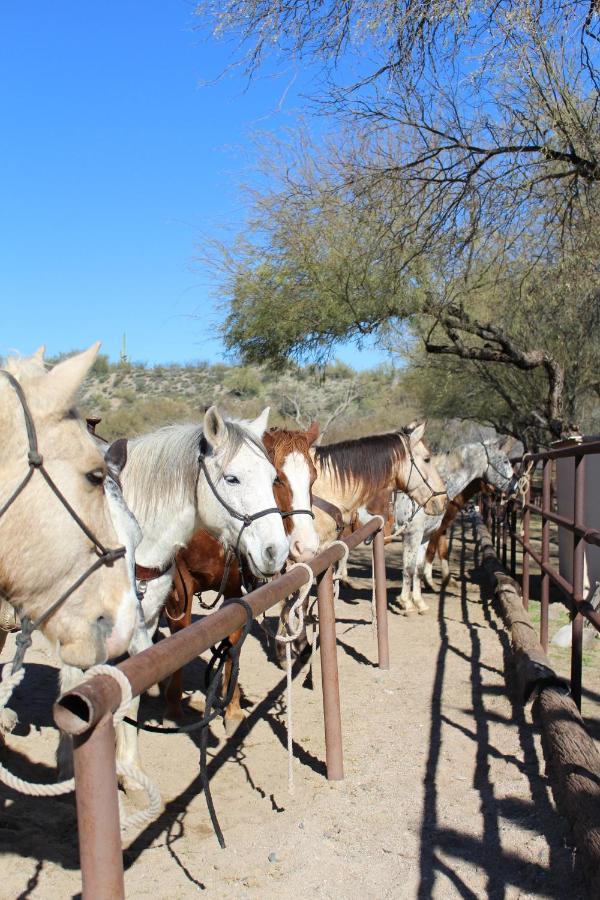 Kay El Bar Guest Ranch Hotell Wickenburg Eksteriør bilde