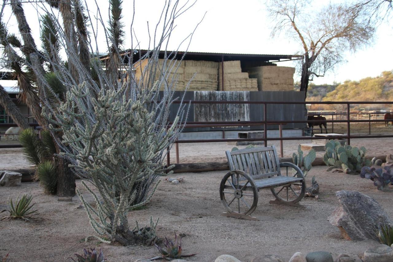 Kay El Bar Guest Ranch Hotell Wickenburg Eksteriør bilde
